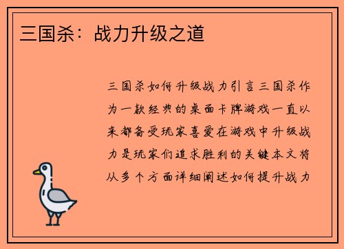三国杀：战力升级之道